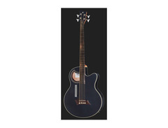 Warwick Alien Fretless Bass image 2