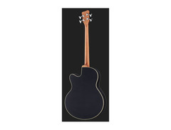 Warwick Alien Fretless Bass image 3