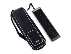 Hohner Airboard image 2
