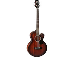 Mitchell T239B-CE-BST Terra Acoustic-Electric Bass Guitar Edge Burst image 3