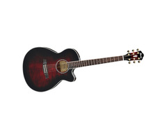 Ibanez AEG20II Cutaway Acoustic-Electric image 2