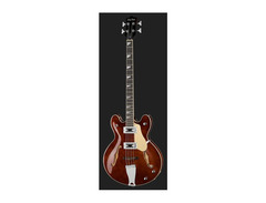 Harley Benton HB-60 image 2