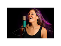 MXL v67GS Condenser Mic image 4