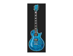 ESP Custom Shop Eclipse image 2