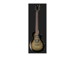 ESP LTD EC-200qm image 2