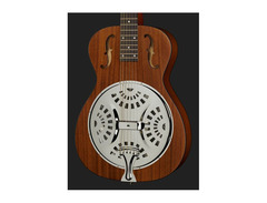 Resonator Mandolin - What To Know & Where To Buy | Equipboard