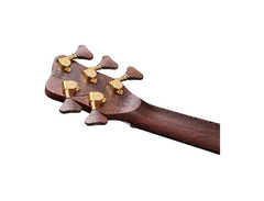 Warwick Streamer Stage 1 5 - What To Know & Where To Buy | Equipboard