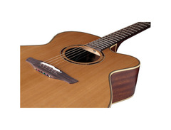 Takamine ETN20C image 3