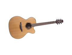 Takamine ETN20C image 4