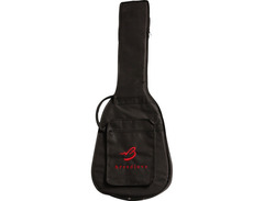 Breedlove Passport C250/CMe Acoustic-Electric Guitar image 3