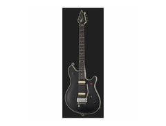 EVH Wolfgang American image 2