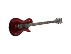 Schecter Damien Solo Elite image 3