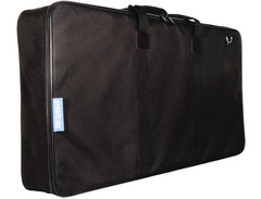 Pedaltrain Pro image 2