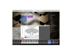 VSL SE Strings Vol1 image 3