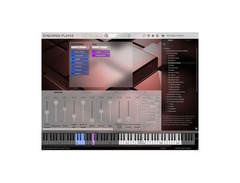 VSL SE Strings Vol1 image 4