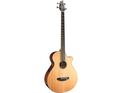 Breedlove Solo Jumbo Acoustic Bass image 3