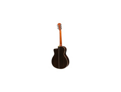 Washburn WG26SCE image 2