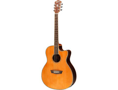 Washburn WG26SCE image 3
