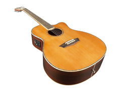 Washburn WG26SCE image 4