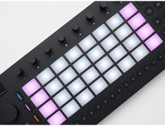 Ableton Move Standalone Instrument image 4