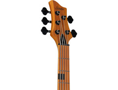Schecter Riot Session-5 image 4