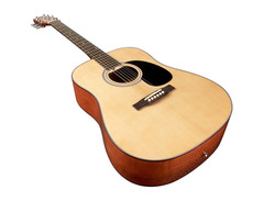 Jasmine S-33 Acoustic image 4