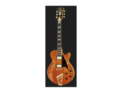 D'Angelico Excel SS image 2