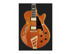 D'Angelico Excel SS image 4