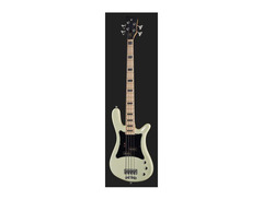 Warwick Adam Clayton Artist Bass image 2
