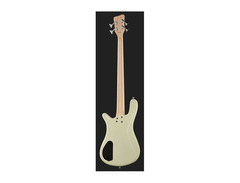 Warwick Adam Clayton Artist Bass image 3