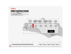 TronicalTune PLUS Set Type C Nickel Strat Style image 3
