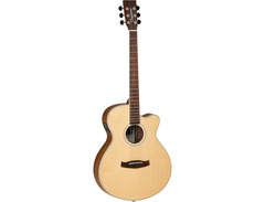 Tanglewood Discovery superfolk image 3