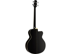 Takamine EGB2S Left Handed Acoustic Bass image 2