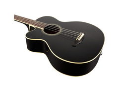 Takamine EGB2S Left Handed Acoustic Bass image 3