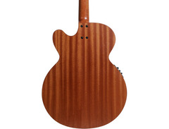 Spector Timbre Acoustic Bass image 2