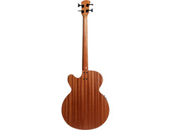 Spector Timbre Acoustic Bass image 4