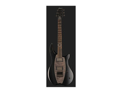 Framus Devin Townsend Signature - 15-3008 image 2