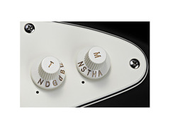 Fender VG Stratocaster image 2