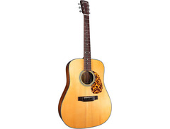Blueridge BR-140A image 3