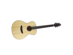 Breedlove Passport C200/SMP Guitar image 2