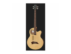 Warwick alien deluxe hybrid 4 image 2