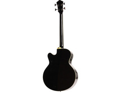 Ibanez AEB5E-BK image 2