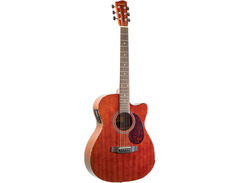 Savannah Electric Acoustic Guitar image 3