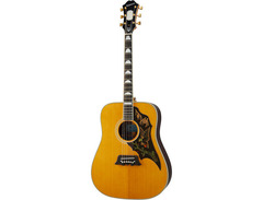 Epiphone Excellente image 3