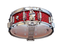 Rogers Dynasonic image 2
