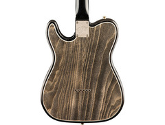 Fender Custom Shop Game of Thrones House Stark Telecaster image 2