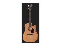 Furch D-20 CM Cut image 2