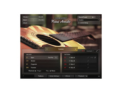 Session Guitarist - Picked Acoustic image 2