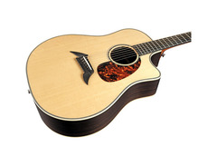 Breedlove Pro Series D25/SRH Acoustic Guitar image 3