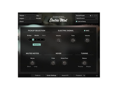 Native Instruments Session Guitarist - Electric Mint image 2